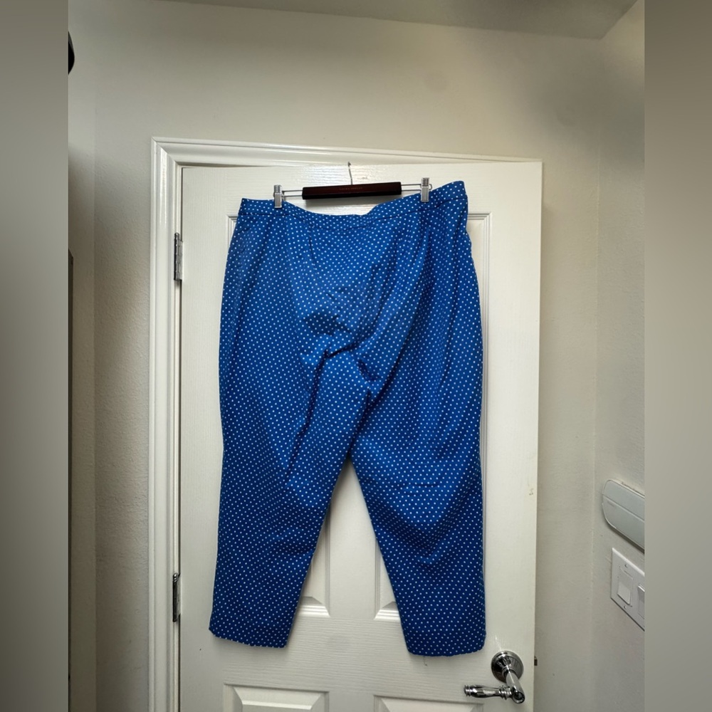 Talbots Blue Polka Dot Pants - Picture 6 of 7